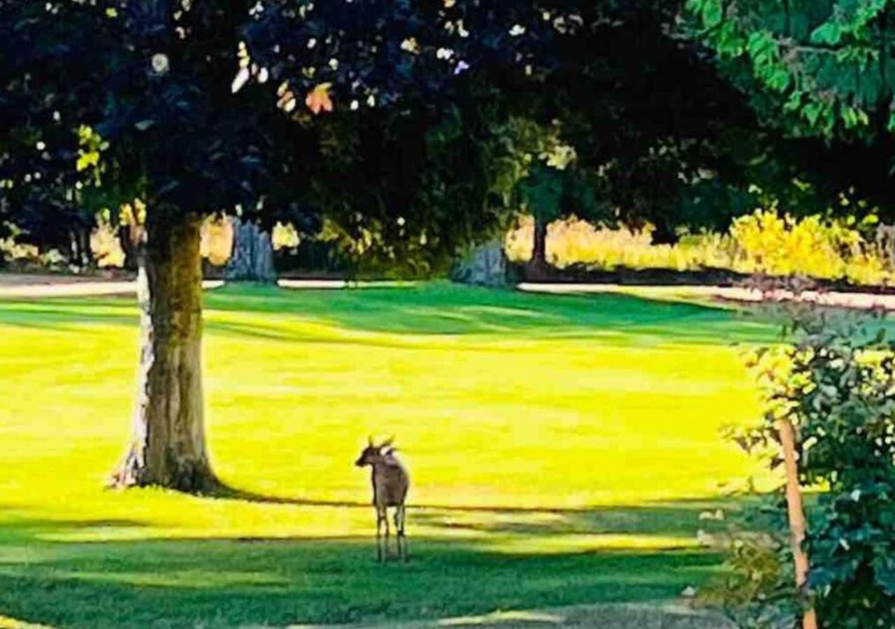 Oceanside Manor - Fancy Room - Golf Course & Beach View Qualicum Beach Bagian luar foto